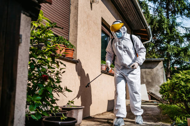 Wildlife Control Services in Northampton, MA