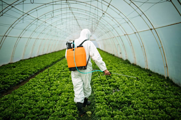 Best Affordable Pest Control Services  in Northampton, MA