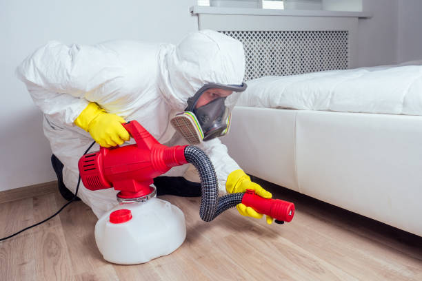 Best Local Pest Control Services  in Northampton, MA