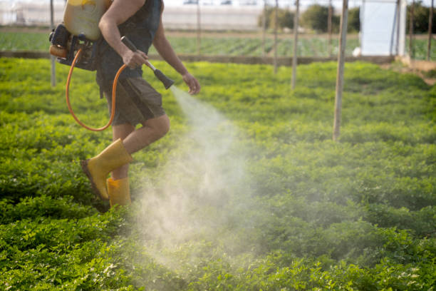 Professional Pest Control in Northampton, MA