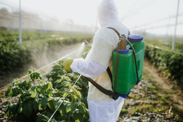 Pest Prevention Services in Northampton, MA